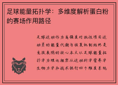 足球能量拓扑学：多维度解析蛋白粉的赛场作用路径