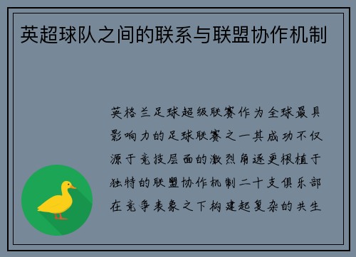 英超球队之间的联系与联盟协作机制