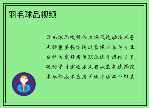 羽毛球品视频